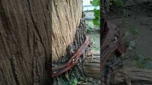 Вазоны из бетона