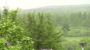 Полный РЕМОНТ лесному дому на реке. Гнилые бревна и гнилая стена деревянного дома.