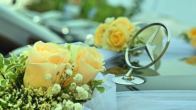 Haapsalu Lillekuller® смотреть онлайн