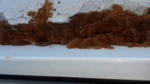 зачем менять пластиковое окно