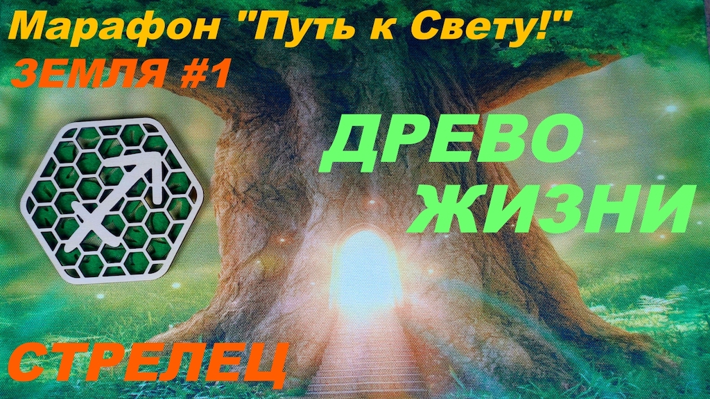 СТРЕЛЕЦ. ДРЕВО ЖИЗНИ -- ПРИнадлежность РОДу или ПРИРОДА. СТИХИЯ ЗЕМЛИ.