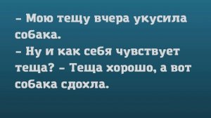 Анекдоты про тещу и зятя
