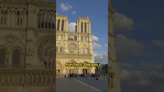 Visit Notre Dame Cathedral #eiffeltower #europe #french