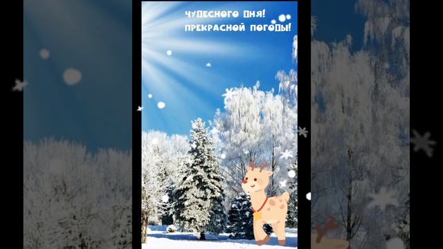 ❄️ С Добрым Зимним Утром ☕ Хорошего Счастливого дня 👍💕 смотреть онлайн