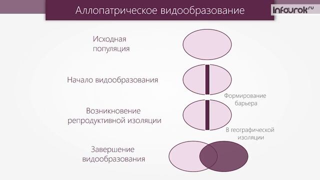 Способы видообразования таблица. Способы видообразования биология 11 класс таблица. Аллопатрическое и симпатрическое видообразование. Виды видообразования таблица.