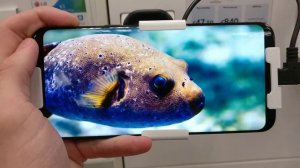 Samsung Galaxy S8 Infinity Display Demo Video