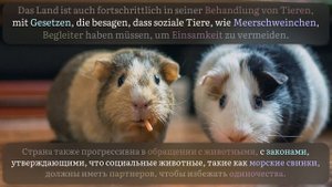 Немецкий на слух, средний уровень (B1,B2) | Рассказ: Швейцария