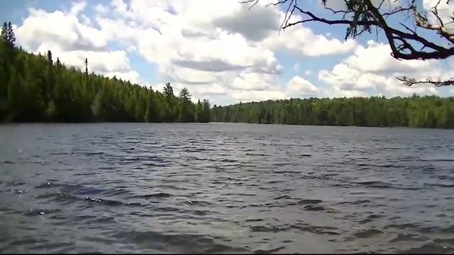 Algonquin Park July 2016: 6 Day Solo Loop from Rain Lake (Part #2)