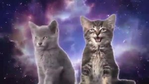 Поющие коты
