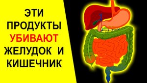 ТОП-6 вредных продуктов для желудка и кишечника ГАСТРИТ, ЯЗВА ЖЕЛУДКА, ИЗЖОГА