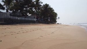 пляж Dalawella Beach Шри-Ланка