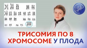 Трисомия по 8 хромосоме у плода. Нужно ли делать кариотип? Когда беременеть после вакуум-аспирации?