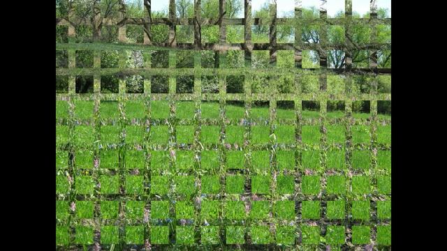 Люблю тебя, мой край родной! смотреть онлайн