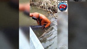 Сомы гиганты на раскатах Каспия. Подводная охота на жилках Главного Банка.