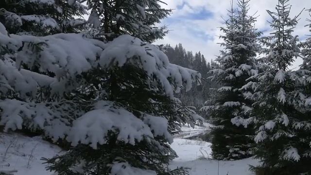 Снежинки, словно замороженные звёзды... Потрясающе красивая мелодия зимы! Послушайте! смотреть онлайн