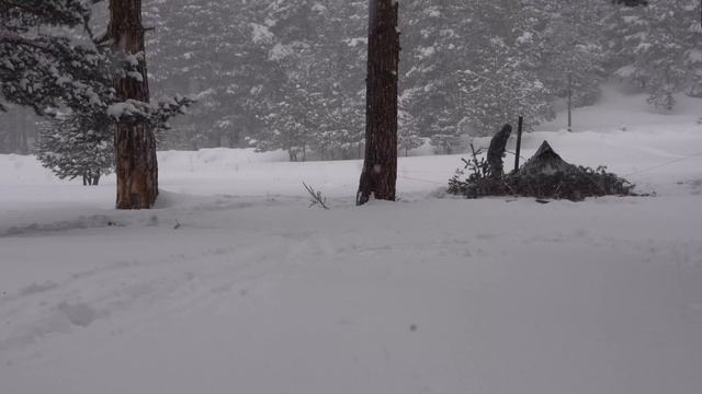 Warm Shelter in the Freezing Snow - Solo Overnight Bushcraft Camp смотреть онлайн