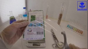 Огурец корнишон Парус F1. СеДеК