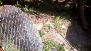 солнечный концентратор из старой спутниковой тарелки 90 см.