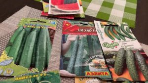 Огурцы Теперь сеем только эти сорта #огурцы