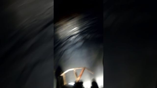 Снегоход динго-обзор смотреть онлайн