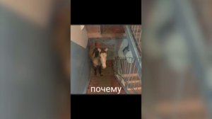 заржал - гэй уровень ультра хард