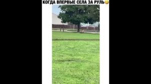 ПРИКОЛ - когда впервые села за руль