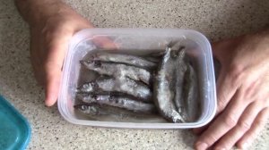 Мойва вяленая Рецепт быстрый