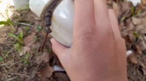 нашли редкие изоляторы и обычные ТФ [insolators hunt]