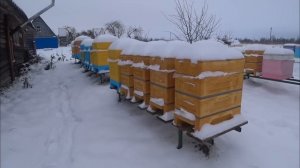 Стоит ли развивать промышленную пасеку ?!