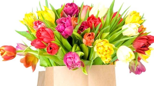 С праздником, милые дамы! С 8 Марта! смотреть онлайн