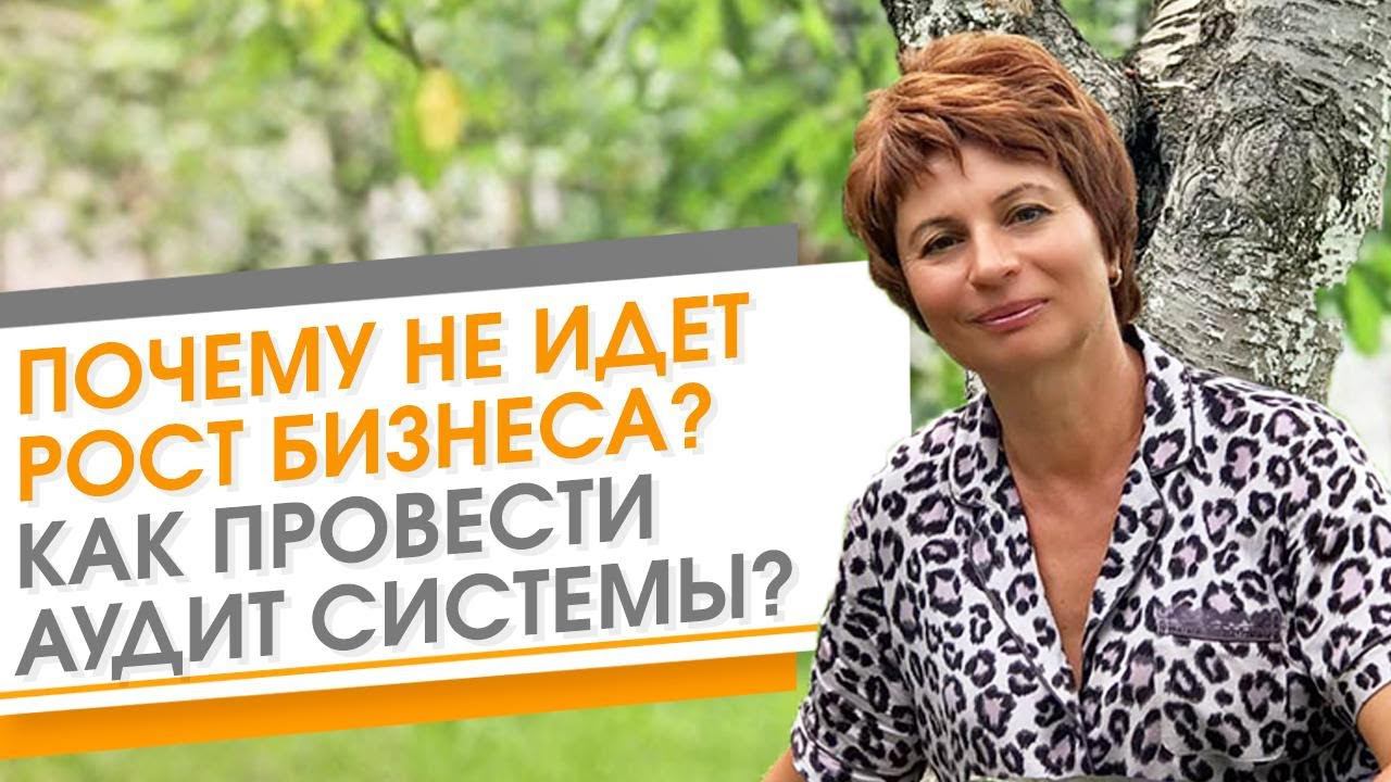 Как Провести АУДИТ СИСТЕМЫ и составить ПЛАН РАЗВИТИЯ бизнеса  Как найти точки роста в бизнесе