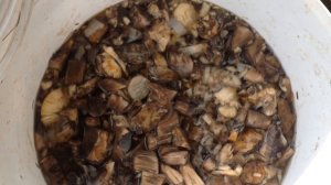 Как вырастить много грибов на вашем дачном участке. РЕЗУЛЬТАТ эксперимента...!!! Сентябрь 2018.