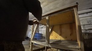 Клетка для кроликов проще простого.  Я на своей работе. Омск Москаленки.