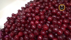 Как заморозить вишню. Заморозка вишни. Заготовки на зиму. Всю зиму свежая ягода.