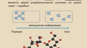 информация в неживой природе