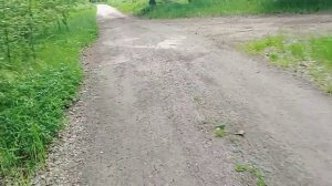 Прицеп для велосипеда