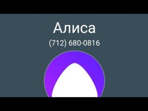 мне позвонила Алиса шок