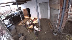 ХОЛОДРЫГА ?УБОРКА? БОНЯ НЕ ЗРЯ ЕСТ? СНИМАТЬ ИЛИ НЕ СНИМАТЬ?