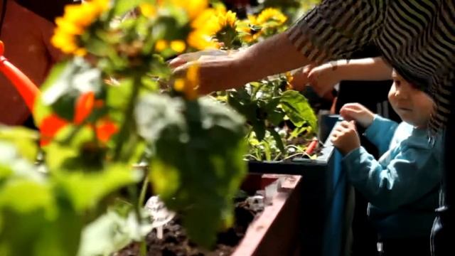 Дача в большом городе! Создаем огород в Перовском парке смотреть онлайн