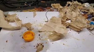 Ремонт динамика 10гдш