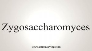 How To Say Zygosaccharomyces