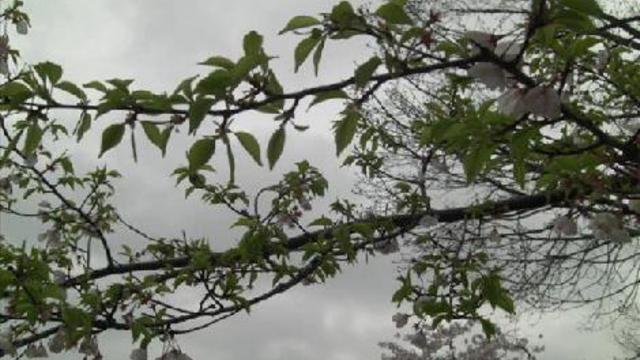 вашингтон