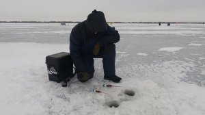 Зимняя рыбалка на озере Ильмень 2024 год.