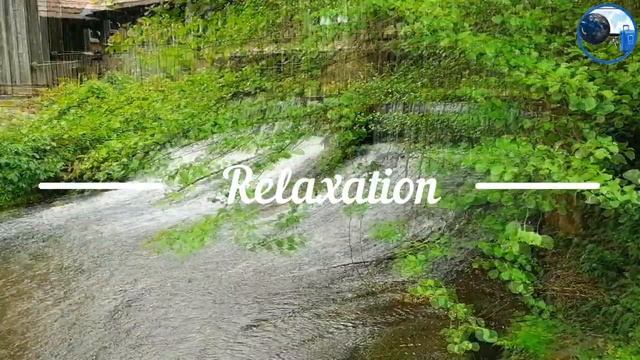 Звуки дождя без грома для сна смотреть онлайн