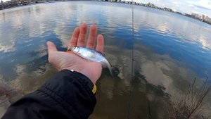 МОРМЫШИНГ с ВОЛЬФРАМОВОЙ МОРМЫШКОЙ 0,3 грамма. Подготовка к соревнованию по Спиннингу С Берега!