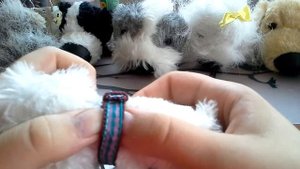 Обзор на мою коллекцию собачек