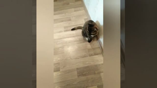 Небольшая сказка смотреть онлайн