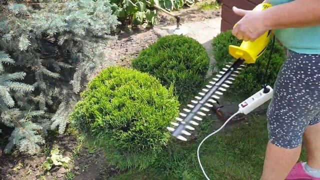 Покупка для сада.Кусторез электрический.