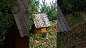 Продажа дома в д Коросткино Шаховской район. напротив дома гнездо Аиста.