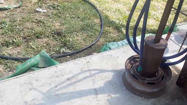 367.Туи из парника уже есть с 🤏корешками 👍 смотреть онлайн